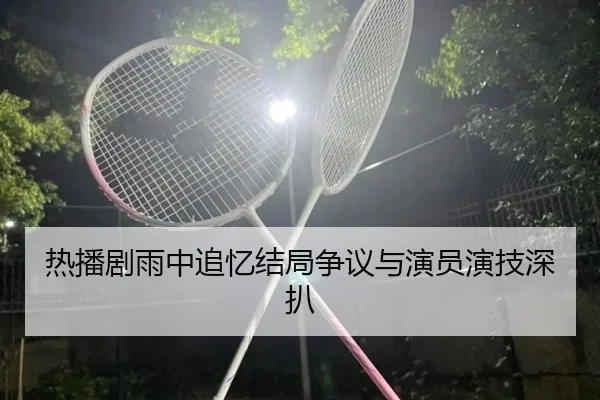 热播剧雨中追忆结局争议与演员演技深扒